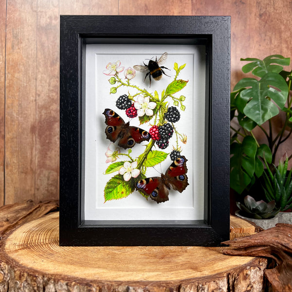 British pollinators on bramble