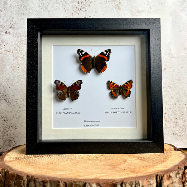 British Butterfly Selection
